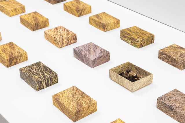 Faye HeavyShield. Detail of <i>real/i/ty</i>, 2025. Digital prints on paper, dirt. Dimensions variable.