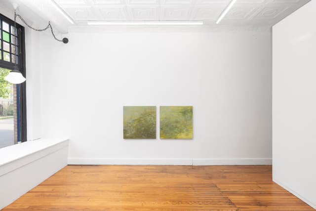 Installation view.