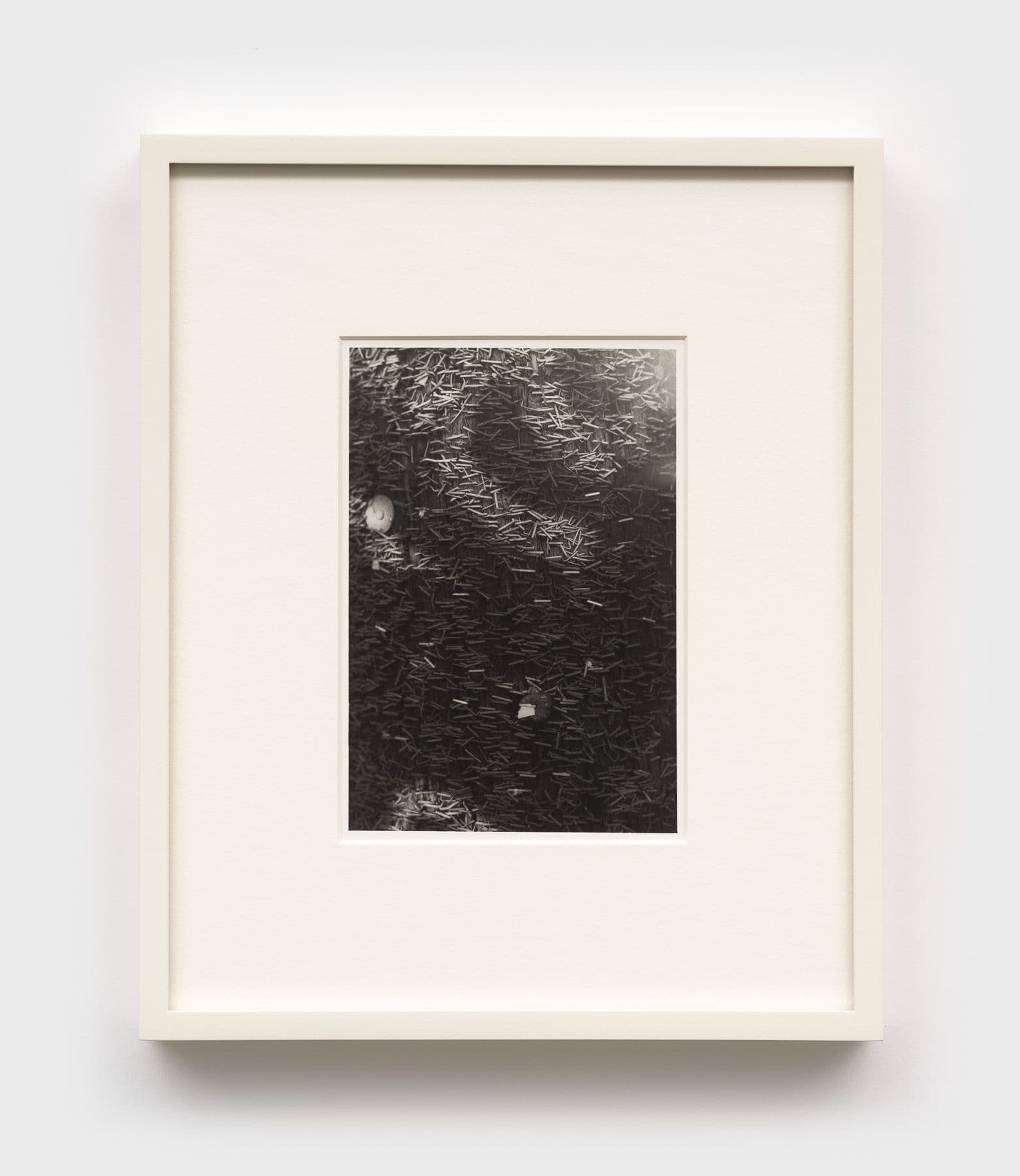 Mo Costello. Untitled (Moreland Ave., I), 2025. Gelatin silver print.
6 × 4 1/4 inches (11 1/2 × 9 1/2 inches framed). Edition of 3 + II AP.