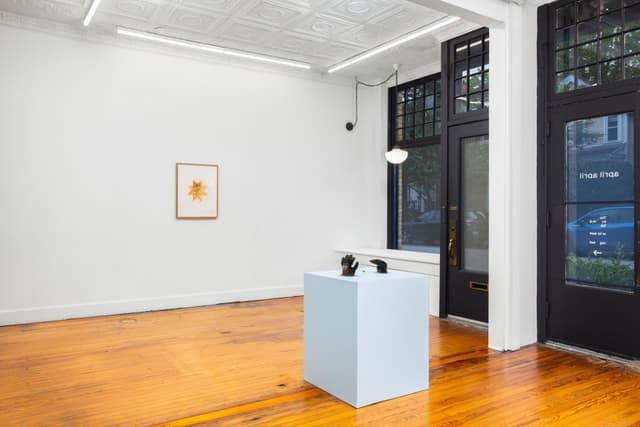 Installation view.