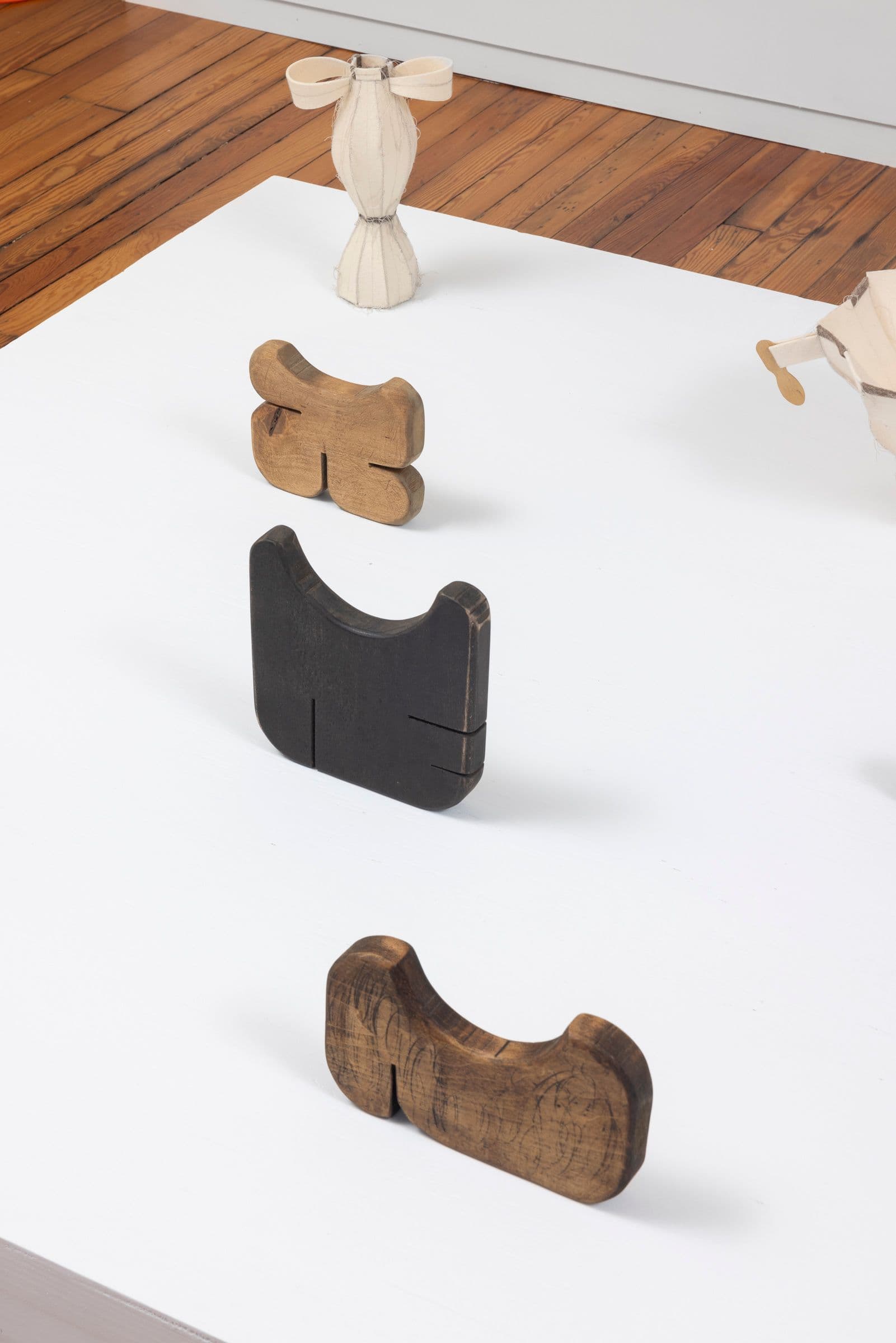 Installation view.