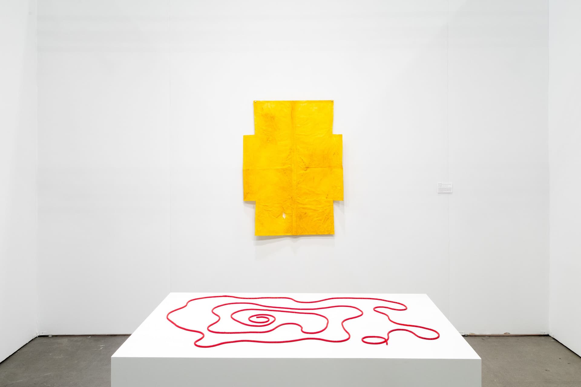 Installation view.