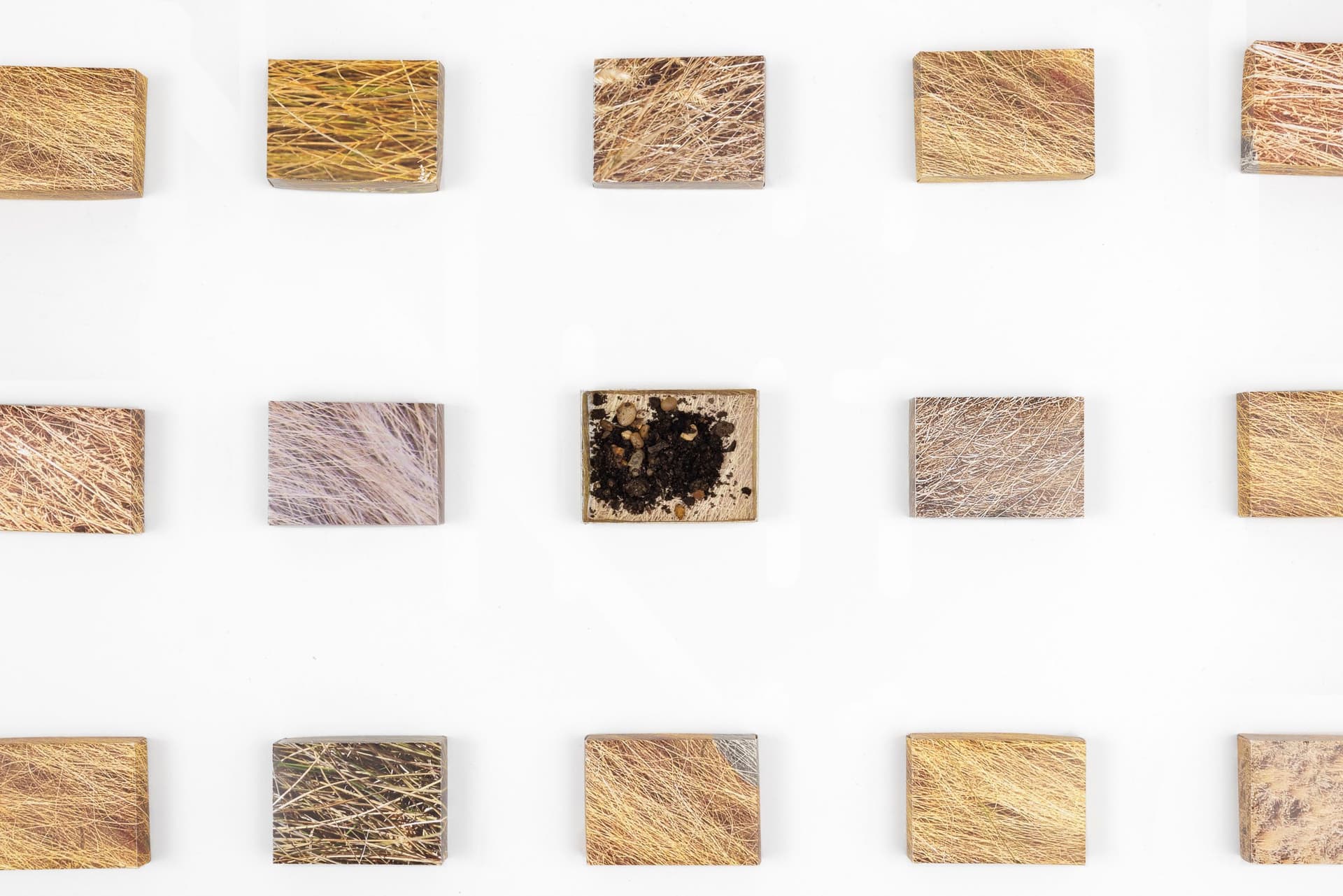 Faye HeavyShield. <i>real/i/ty</i>, 2025. Digital prints on paper, dirt. Dimensions variable.