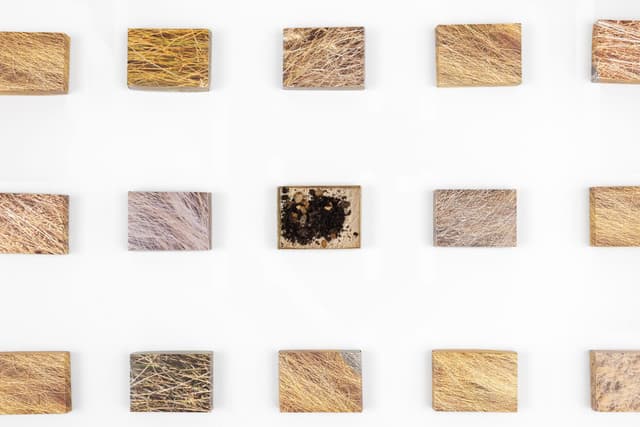 Faye HeavyShield. <i>real/i/ty</i>, 2025. Digital prints on paper, dirt. Dimensions variable.