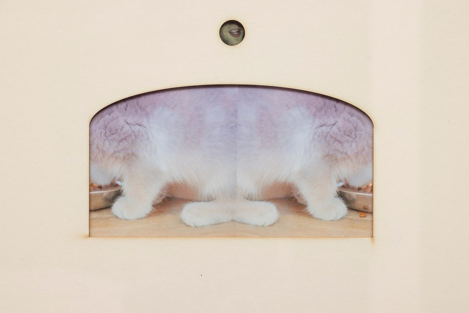 Marisa Kriangwiwat Holmes. Group Setting Compliment (Detail), 2024. 8 individual glossy giclée prints, matboard, found frame. 23 × 16.75 inches.