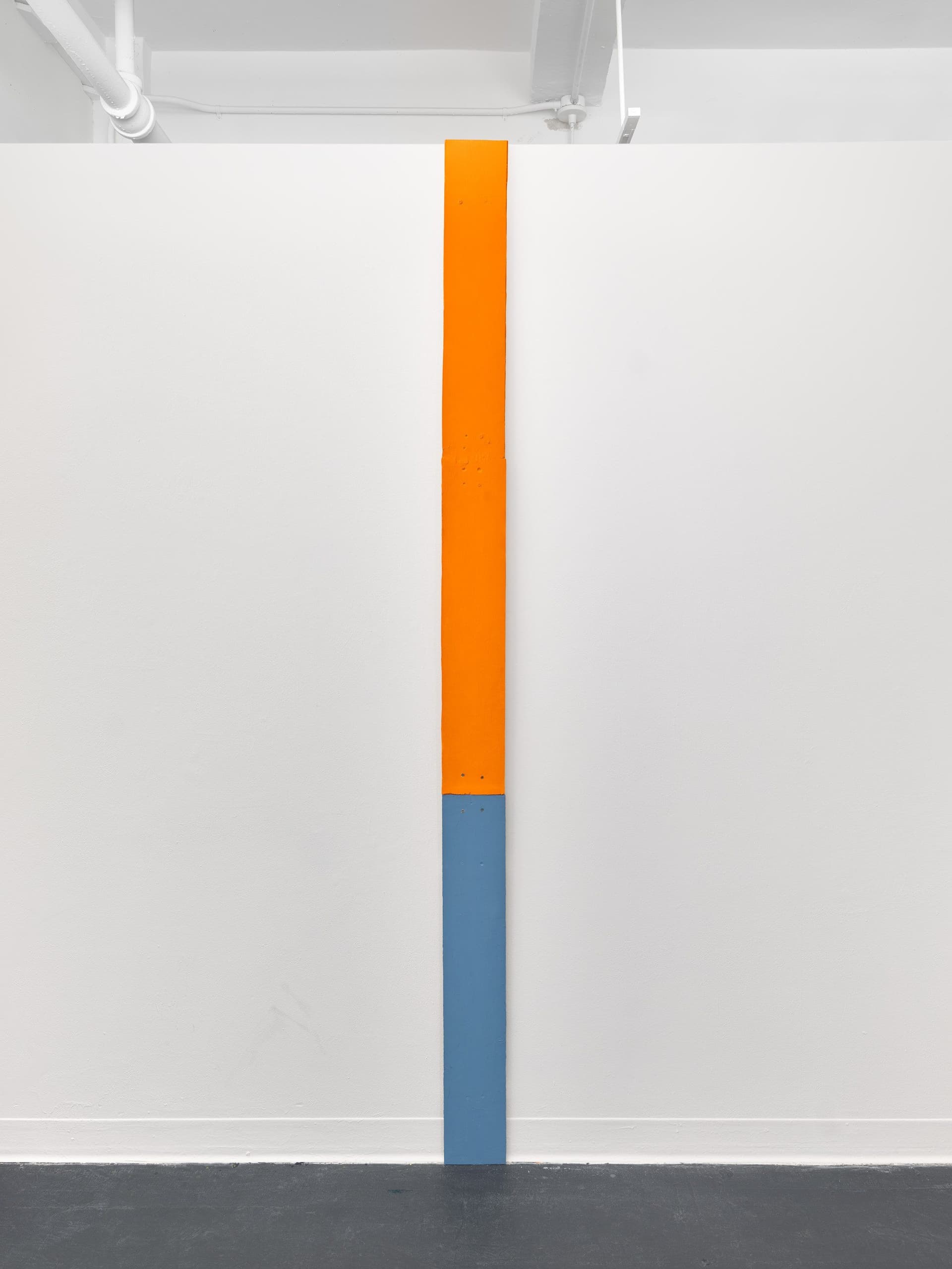 Al Svoboda. Light, No Light, Light, No Light (Detail). Flash on board. Dimensions variable.