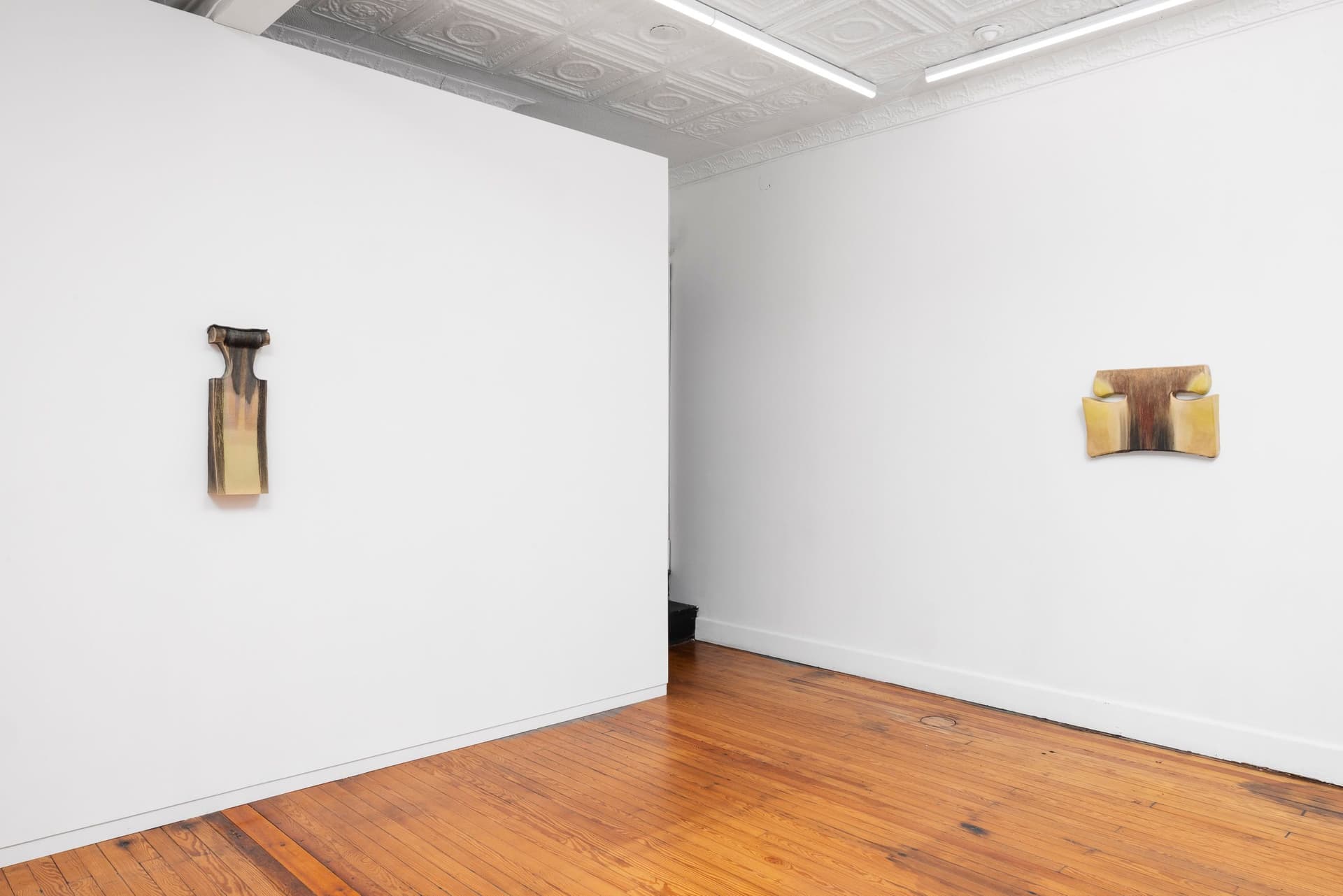 Installation view.