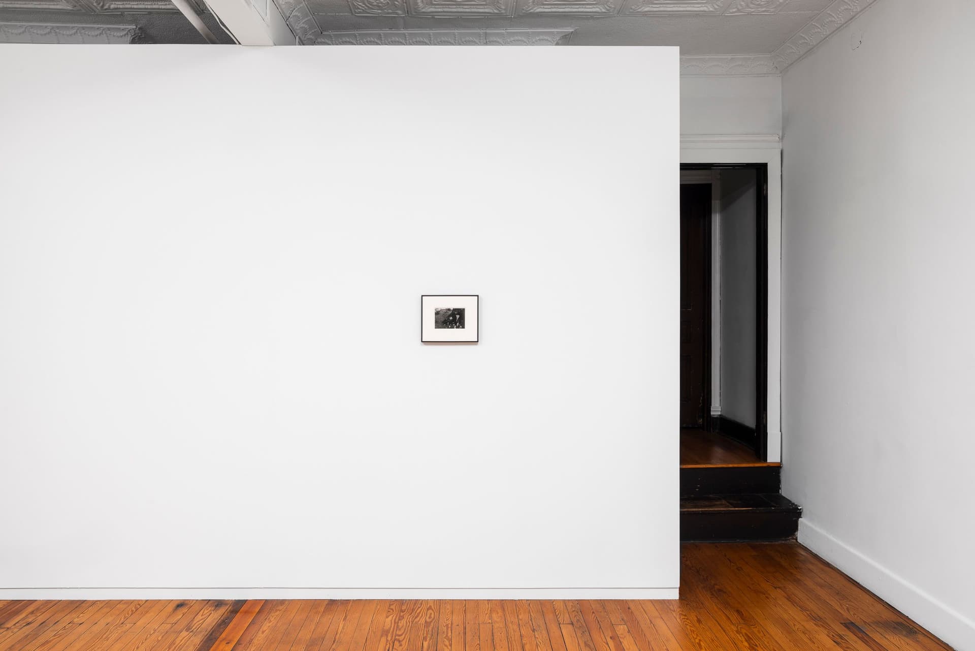 Installation view.