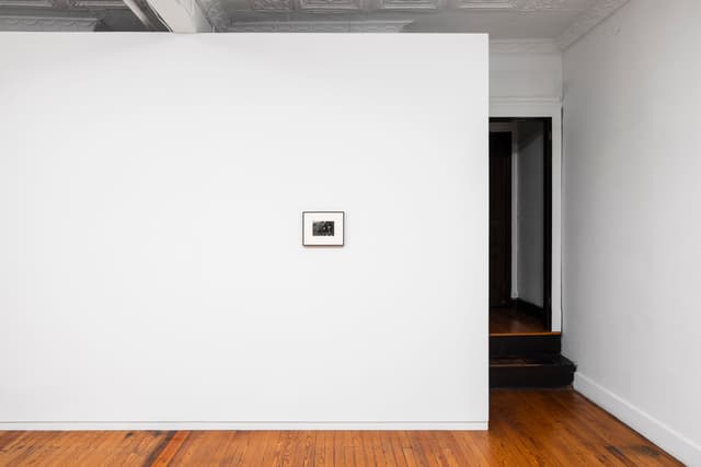 Installation view.