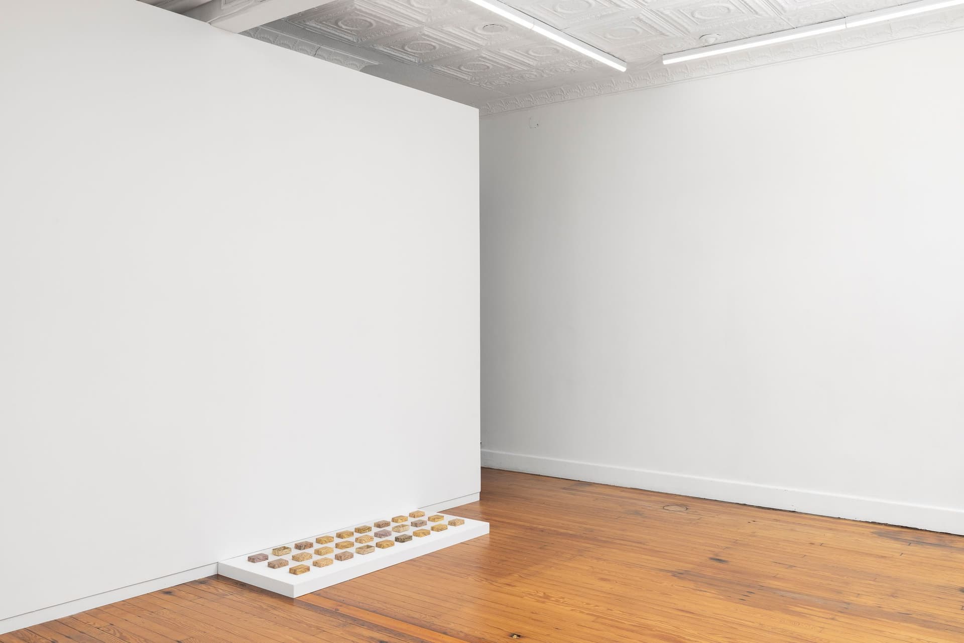 Installation view.