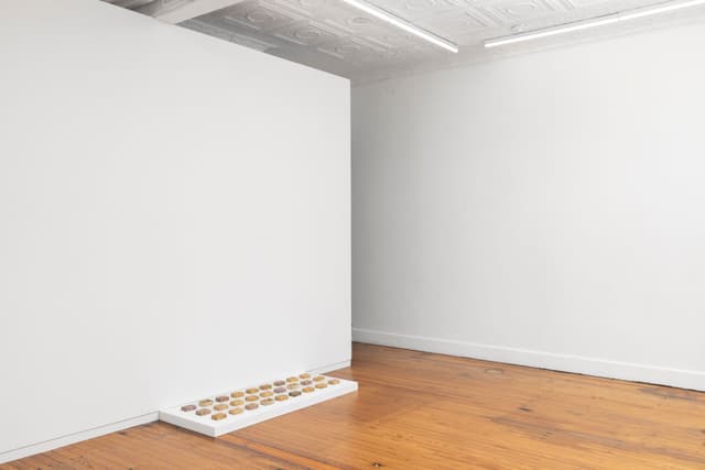 Installation view.