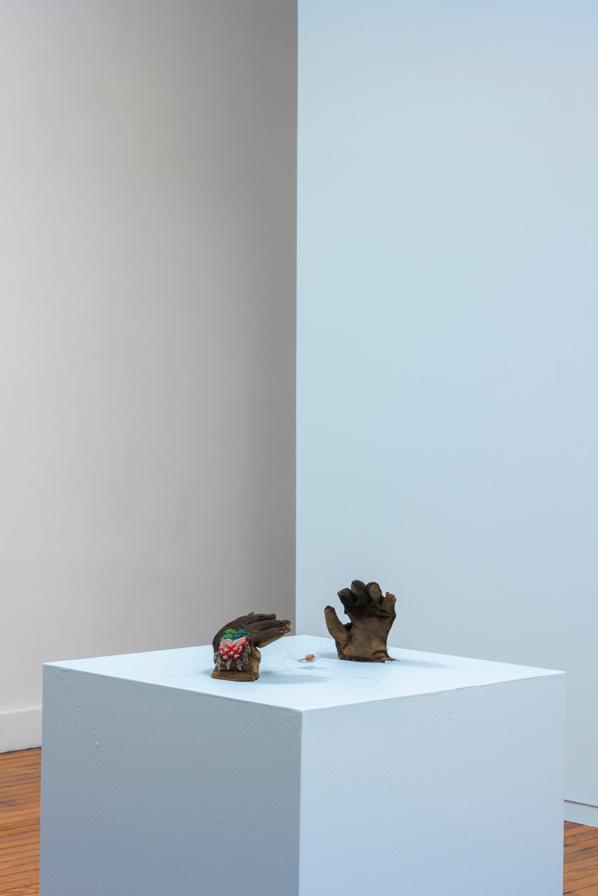 Installation view.
