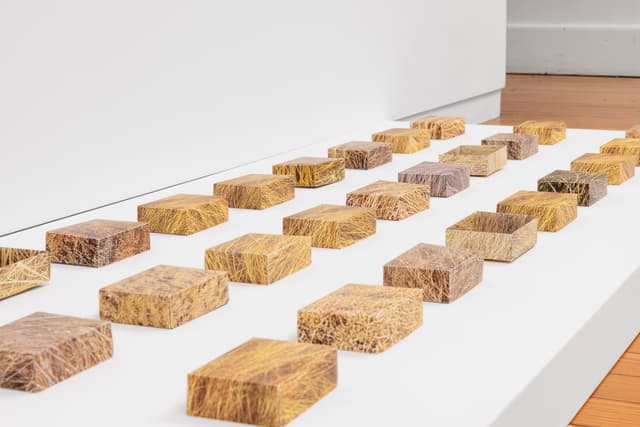 Faye HeavyShield. <i>real/i/ty</i>, 2025. Digital prints on paper, dirt. Dimensions variable.