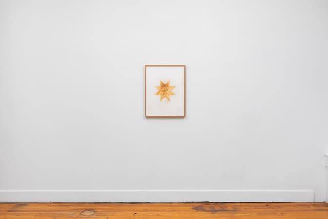 Installation view.