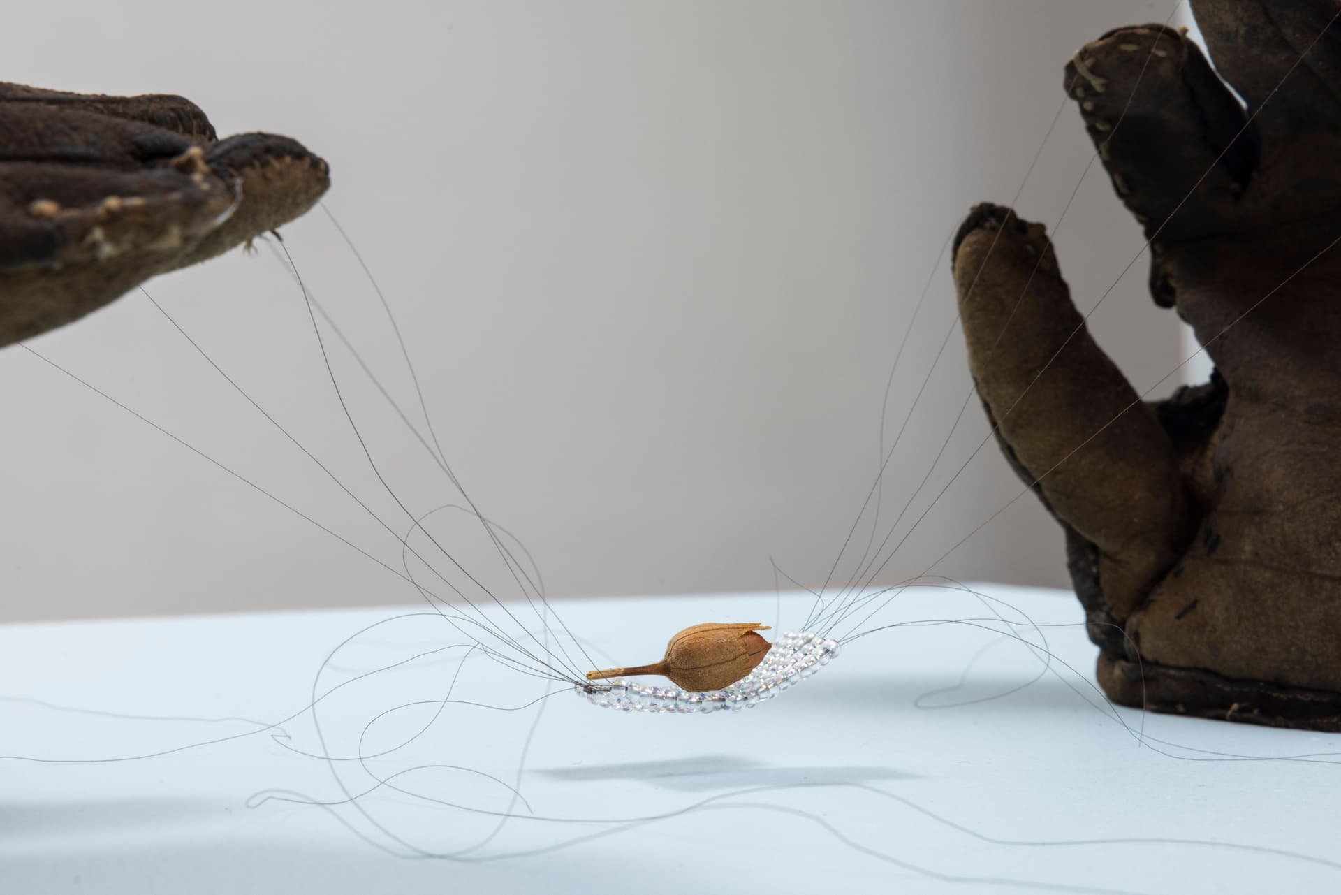 Audie Murray. Detail of <i>Net Weavers; ○</i>, 2026. Glass beads, artist's hair, tobacco, reutilized beadwork from unknown artist. 7 × 6 × 16 inches.