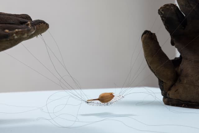 Audie Murray. Detail of <i>Net Weavers; ○</i>, 2026. Glass beads, artist's hair, tobacco, reutilized beadwork from unknown artist. 7 × 6 × 16 inches.