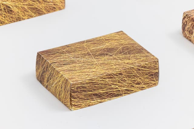 Faye HeavyShield. Detail of <i>real/i/ty</i>, 2025. Digital prints on paper, dirt. Dimensions variable.