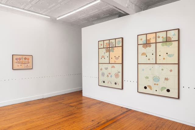 Installation view.