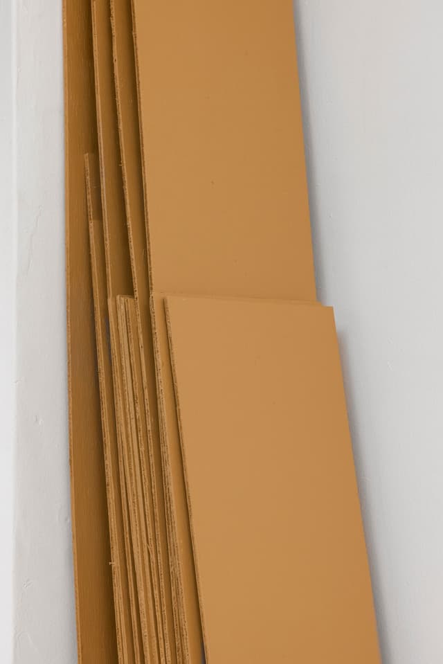 Installation view.