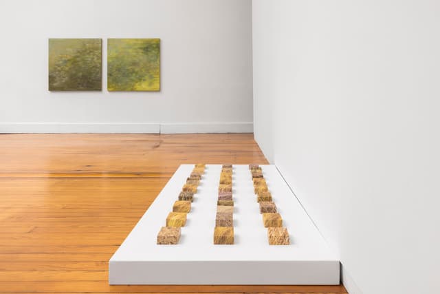 Installation view.