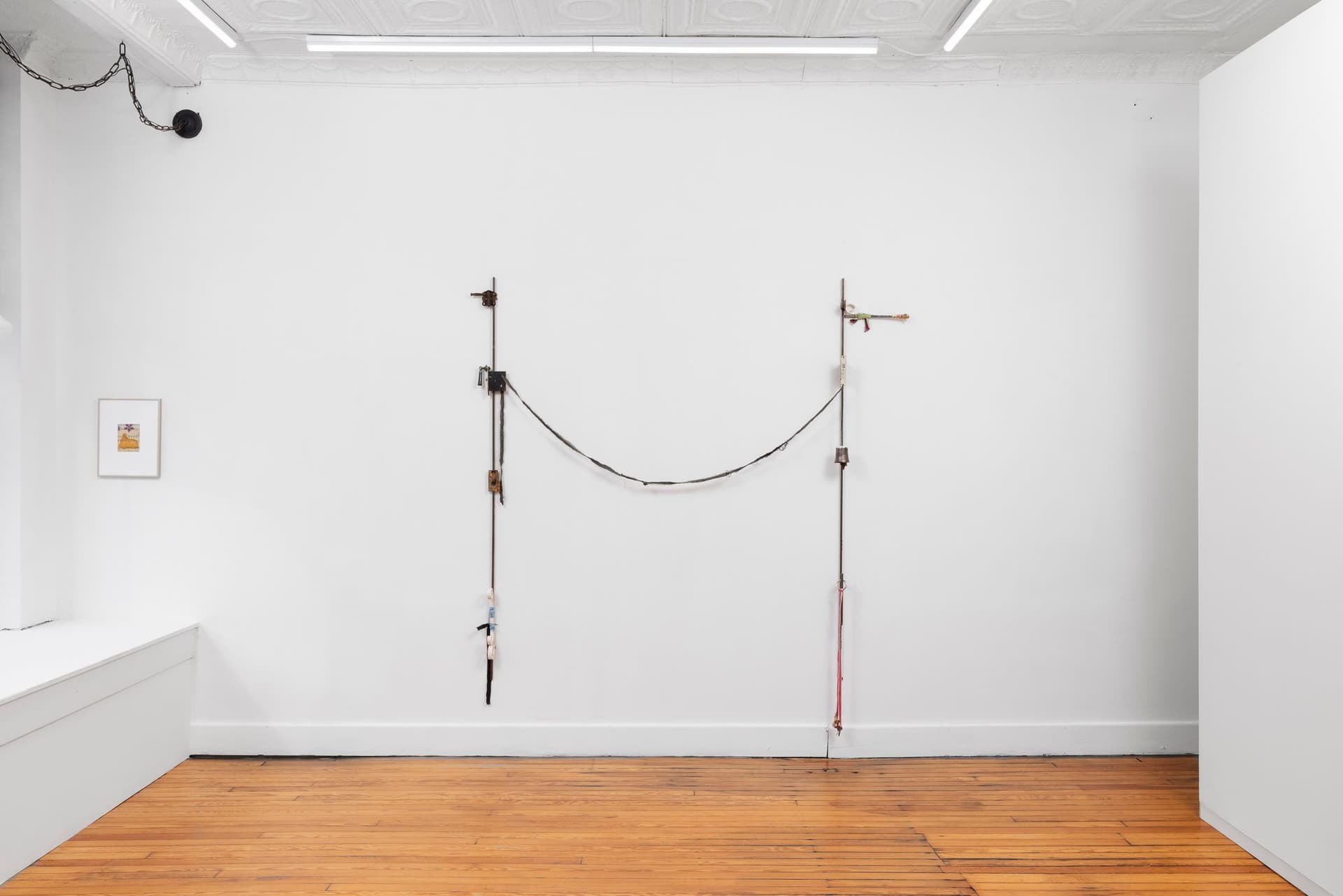 Installation view.