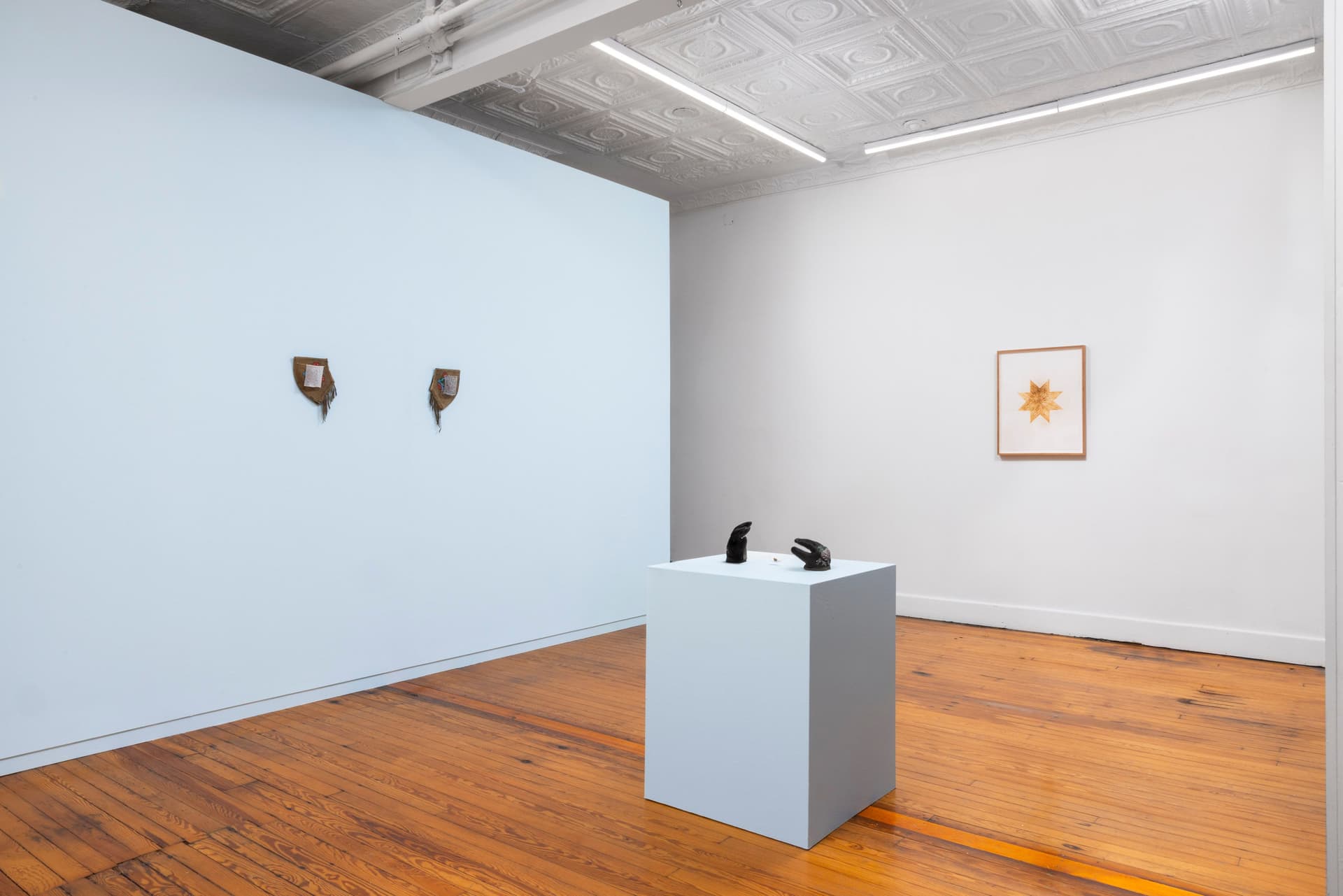 Installation view.