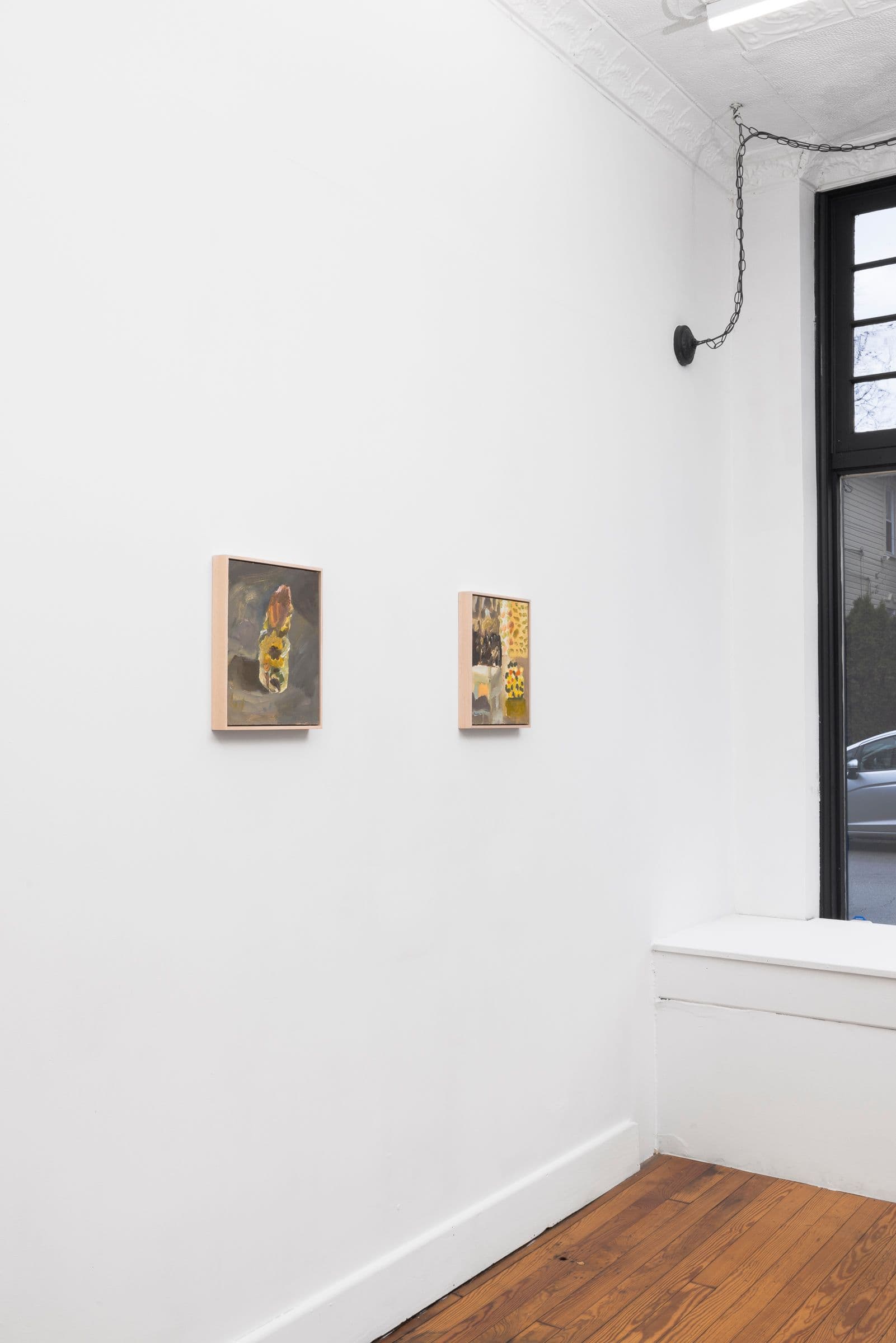 Installation view.