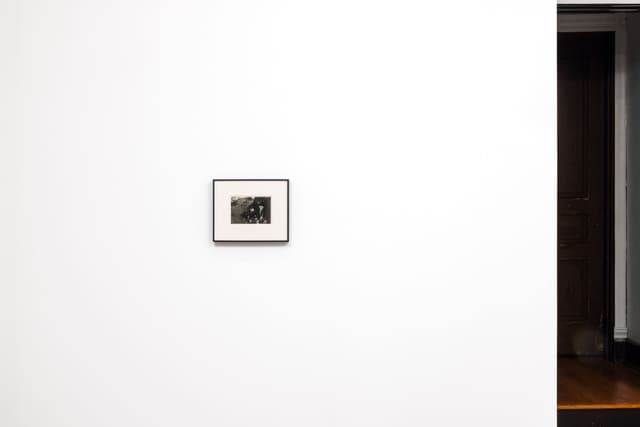 Installation view.