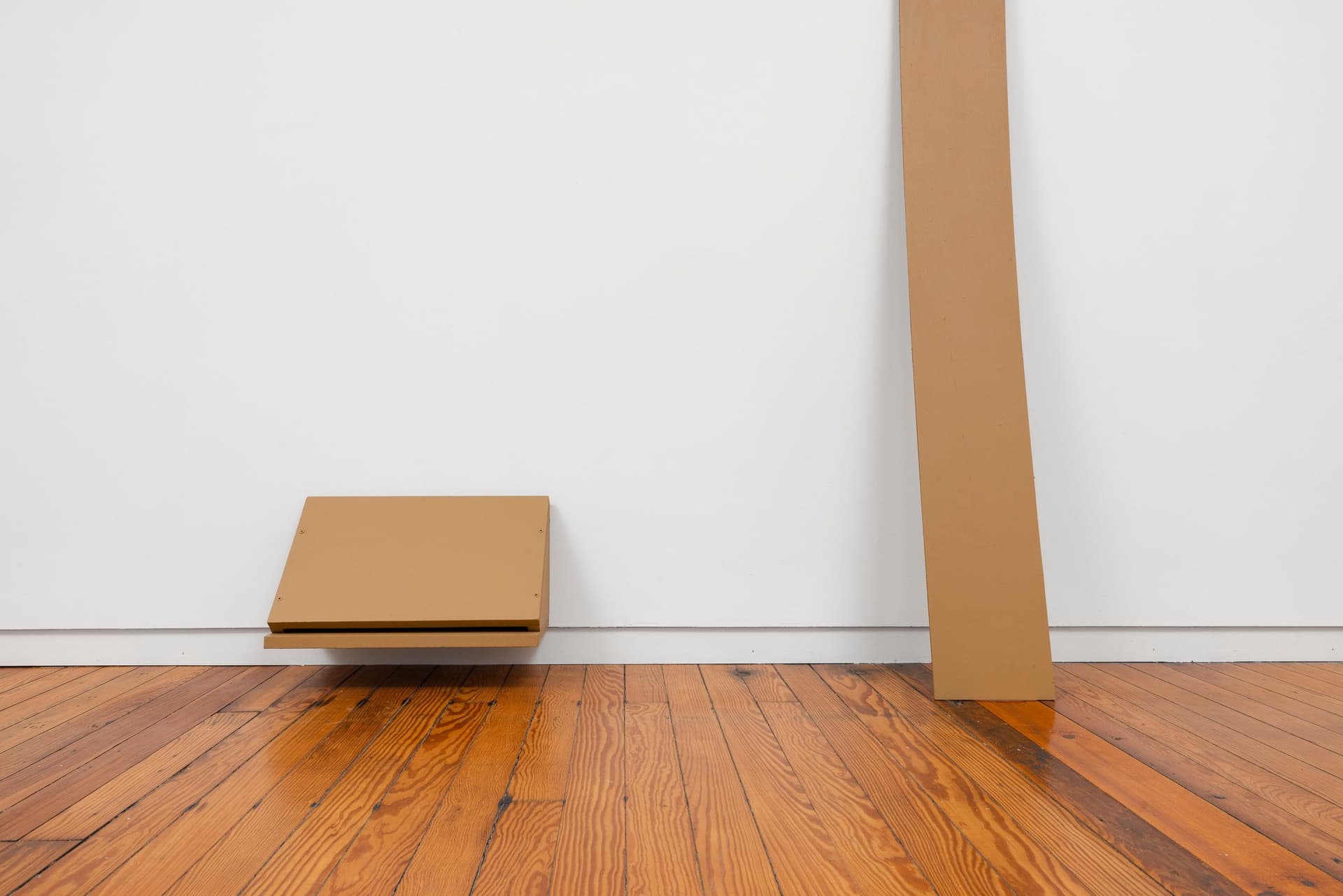 Installation view.