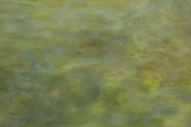 Zoe Koke. Detail of <i>Rio Bravo</i>, 2025. Oil on canvas. 30 × 30 inches.