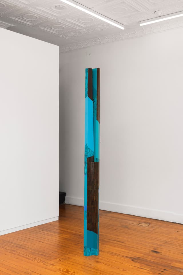 Installation view.