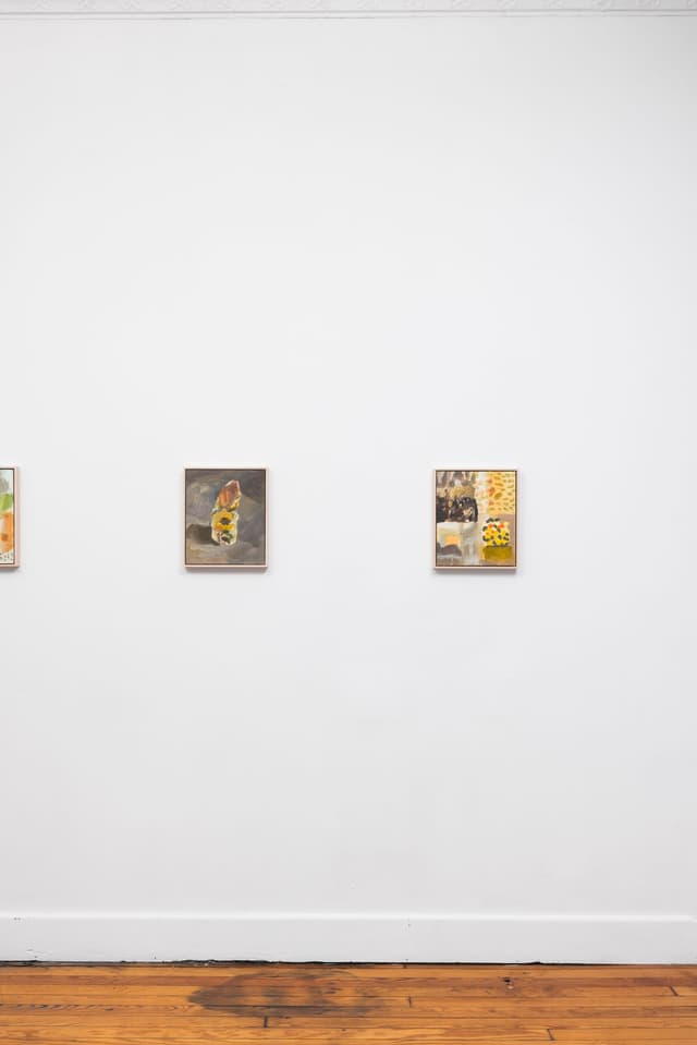 Installation view.