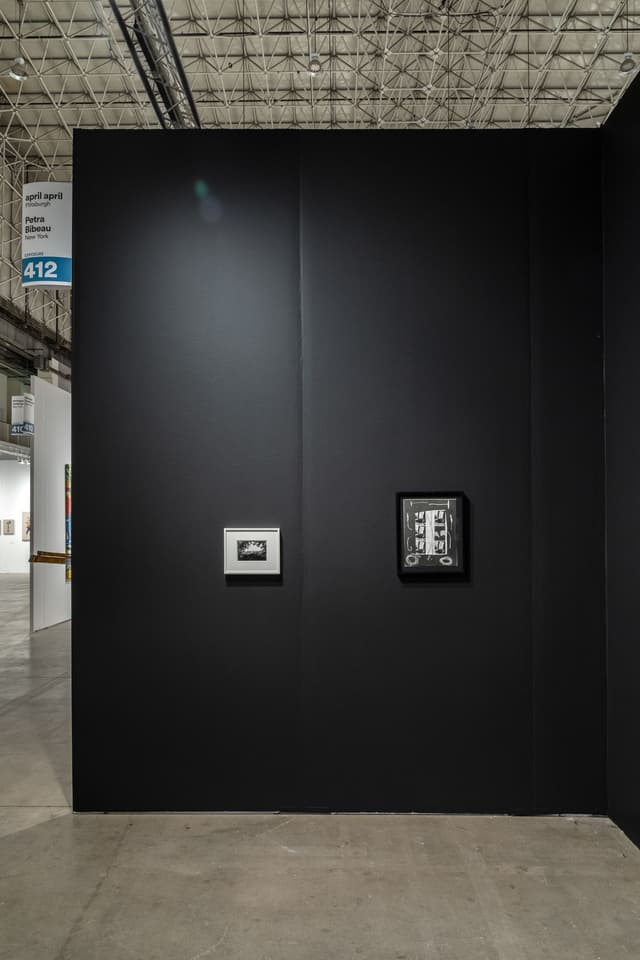 Installation view.