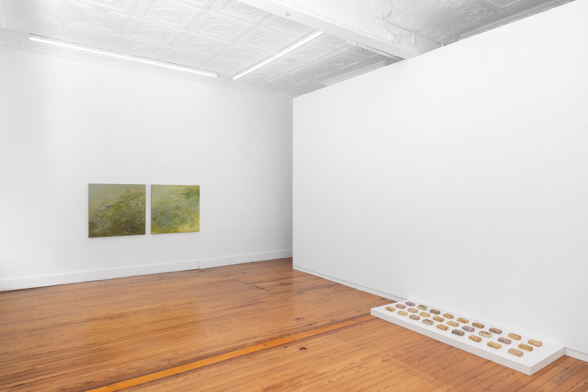 Installation view.