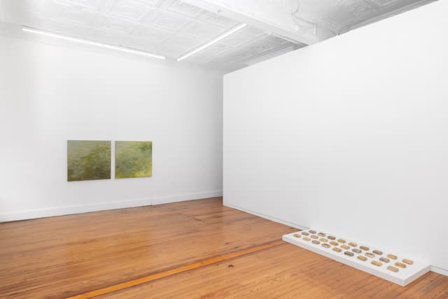 Installation view.